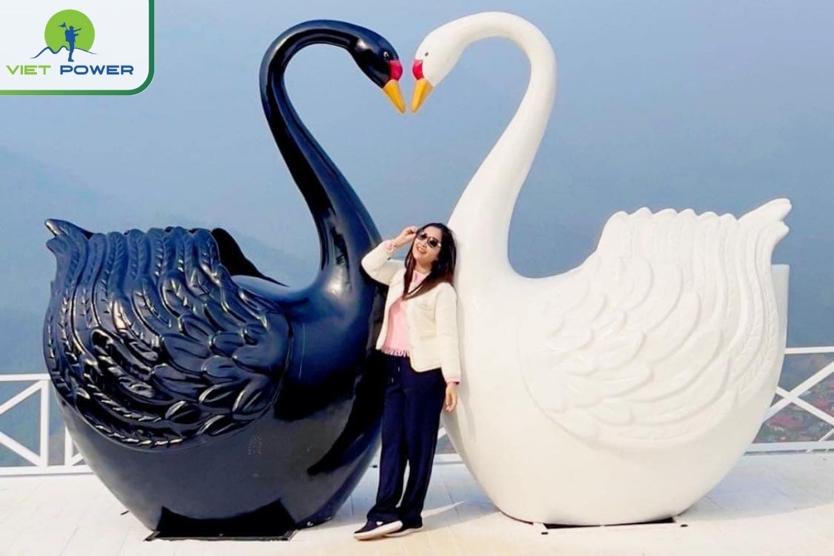 Swan Couple Statues