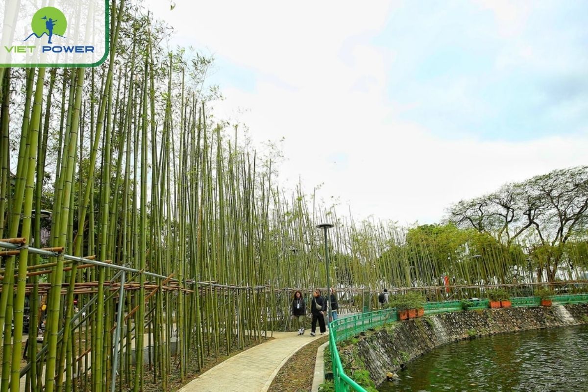 Walk  Around the Lake