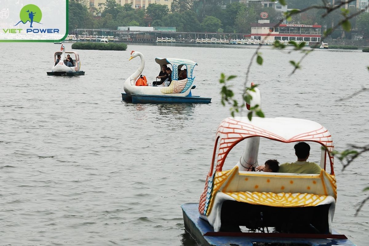 Duck Pedal Boat Ride