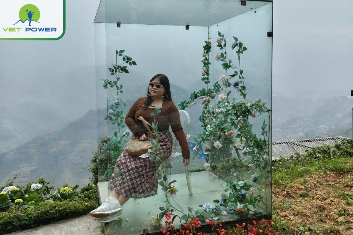 Rose Glasshouse