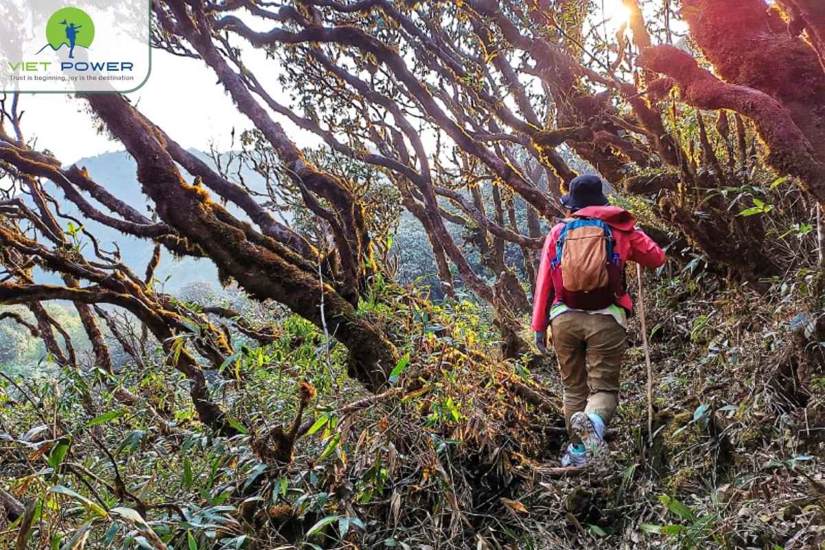(11) Mountain In Northern Vietnam