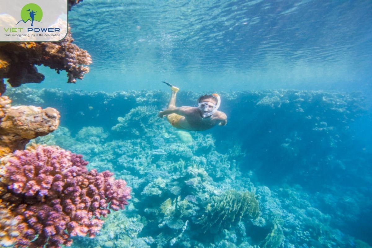 (11) Phu Quoc
