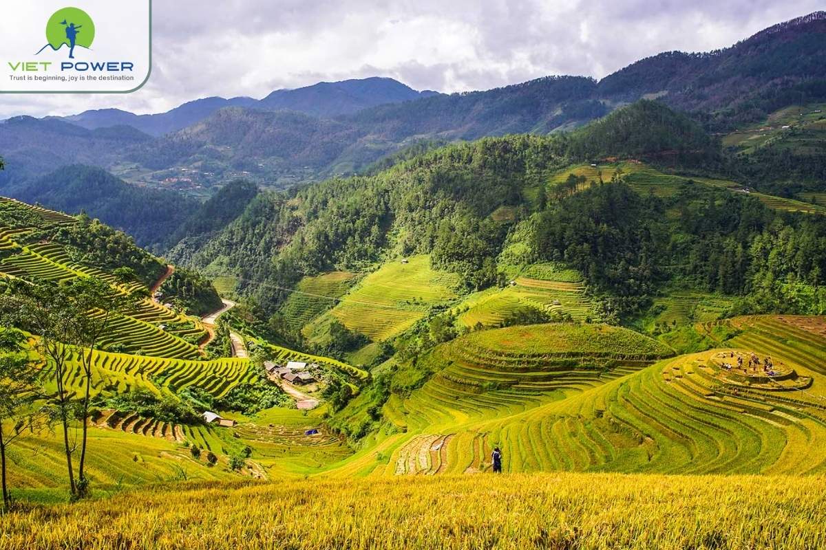 (2) Mai Chau
