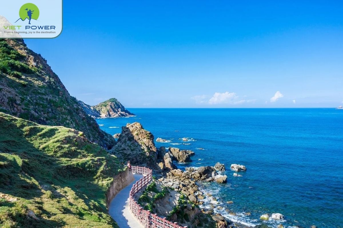 (2) Quy Nhon