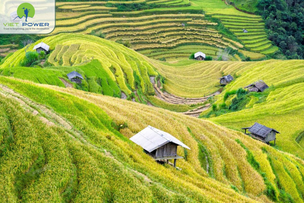 (4) Mai Chau