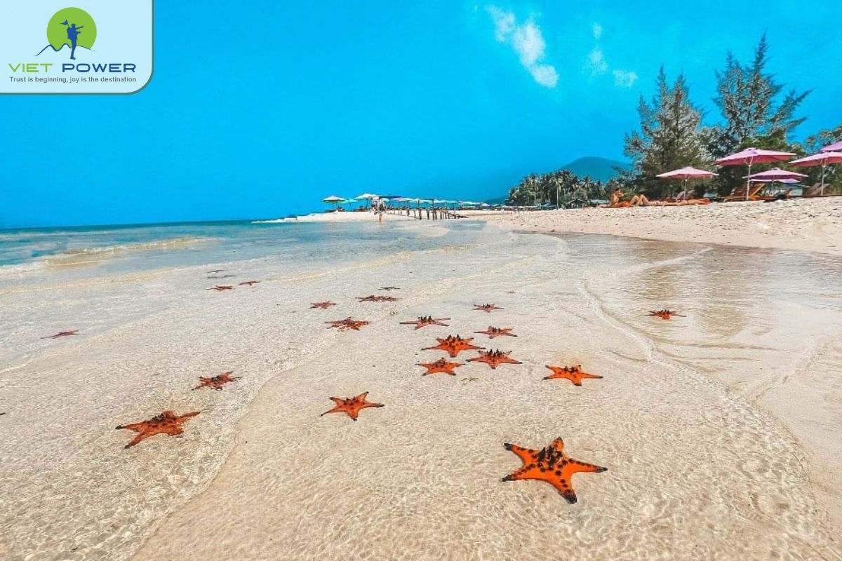 (4) Phu Quoc Island
