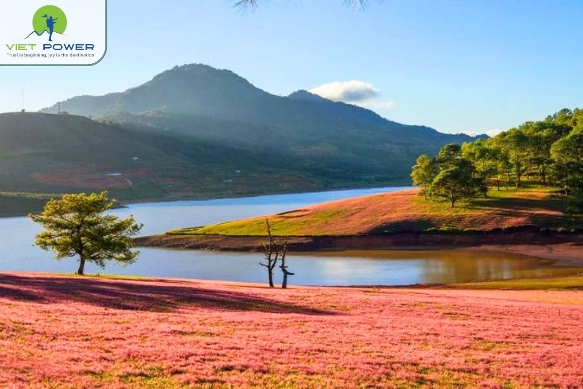 (5) Da Lat