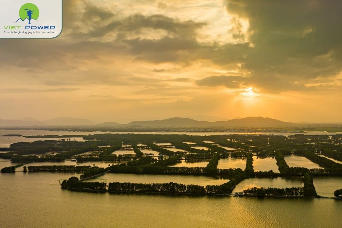 (5) Lagoons 