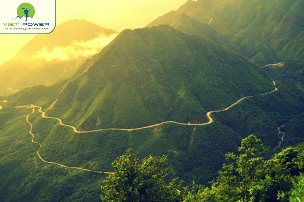 (5) Pass In Vietnam