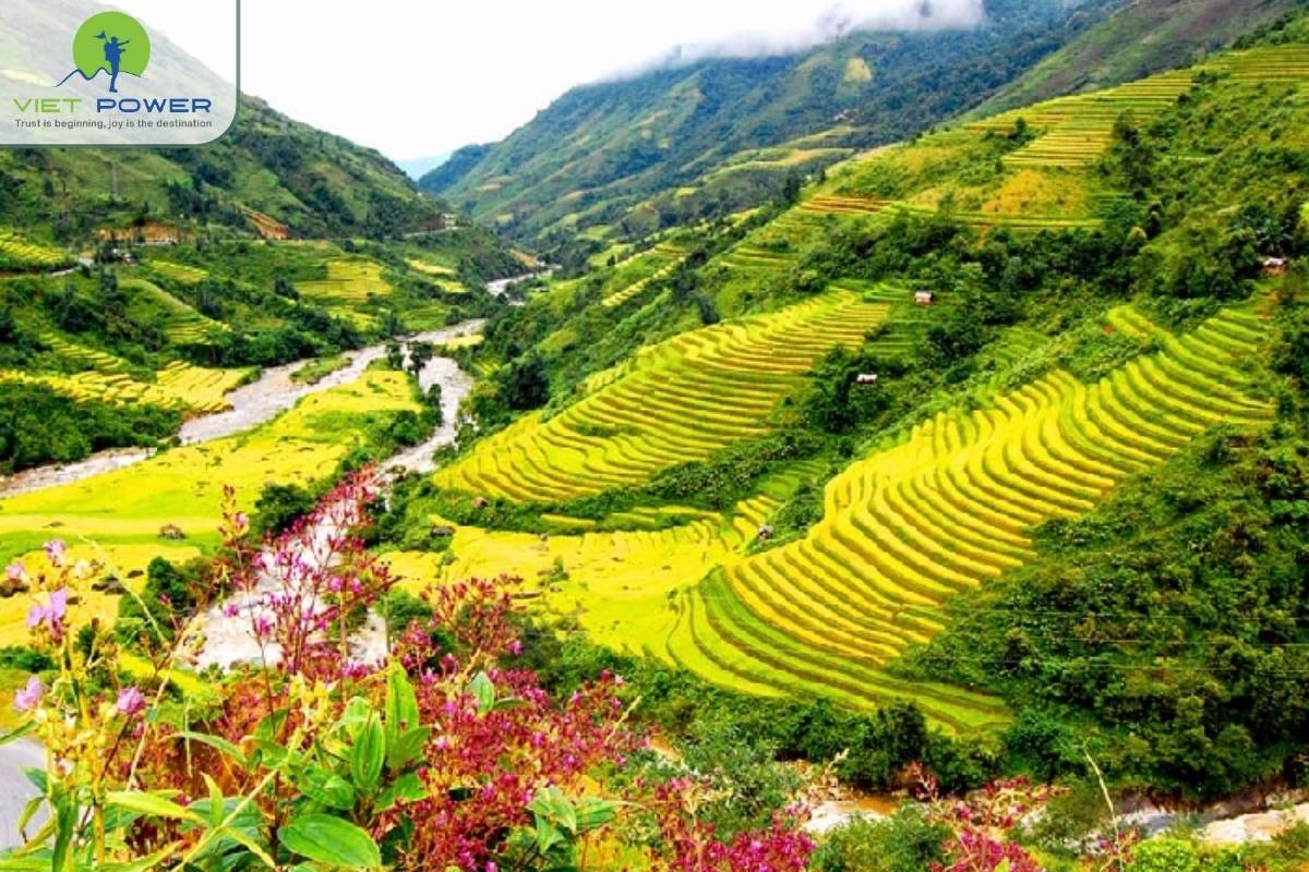 (5) Sapa new (1)