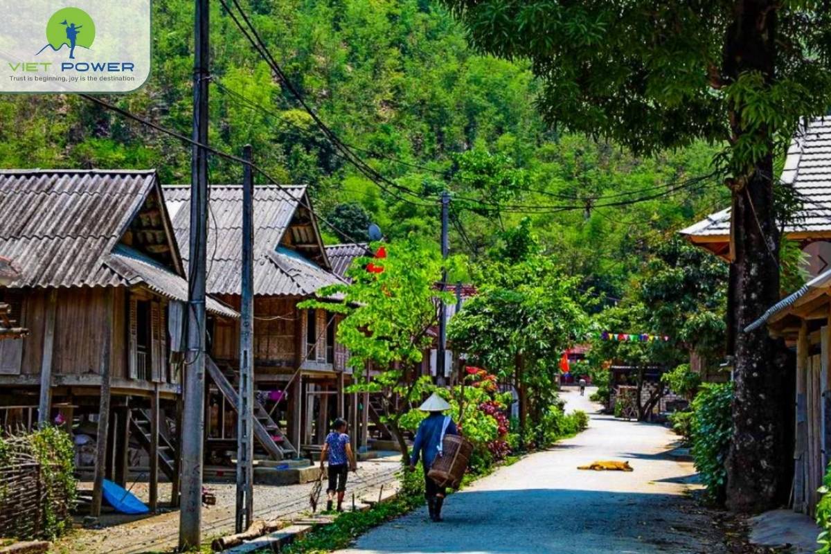 (6) Mai Chau