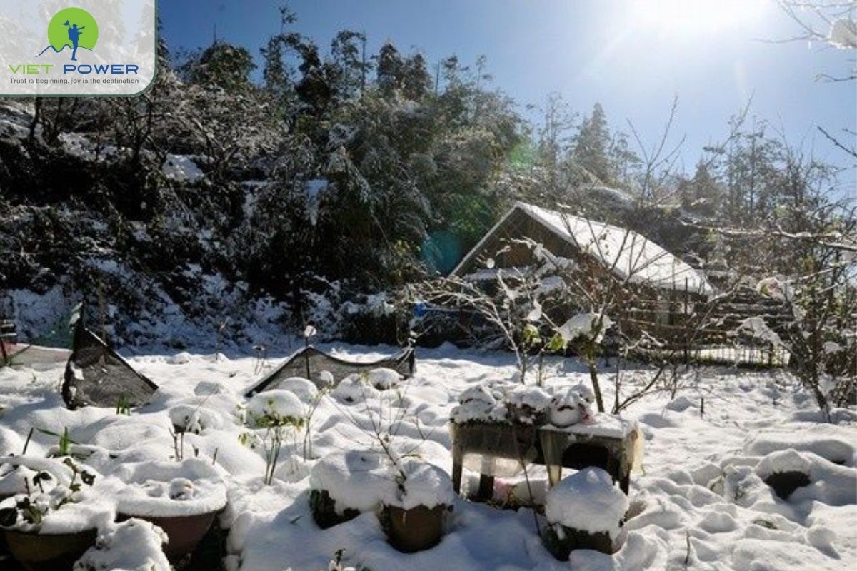 (6) SAPA 12