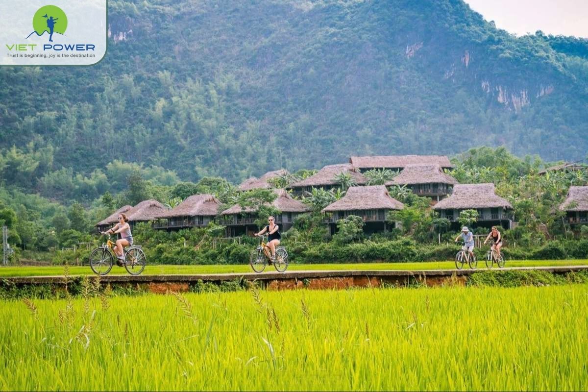 (8) Mai Chau