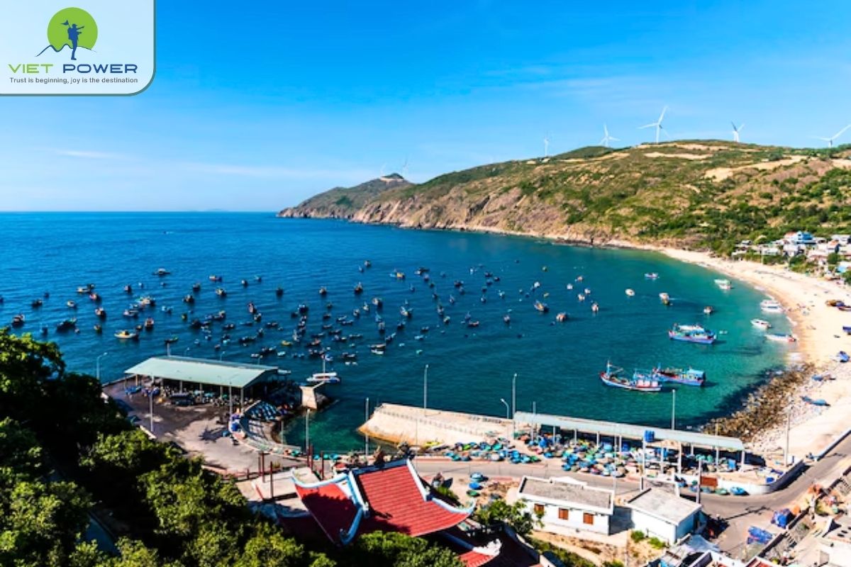 (8) Quy Nhon