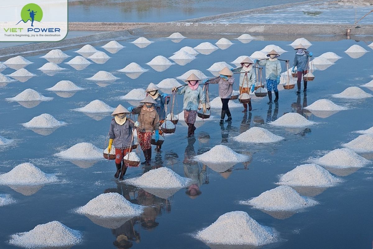 (8) Salt