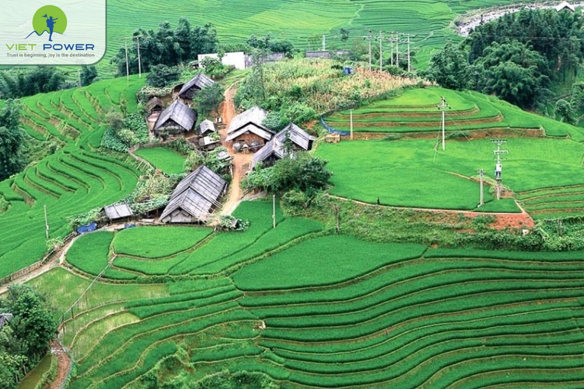 (8) Sapa new