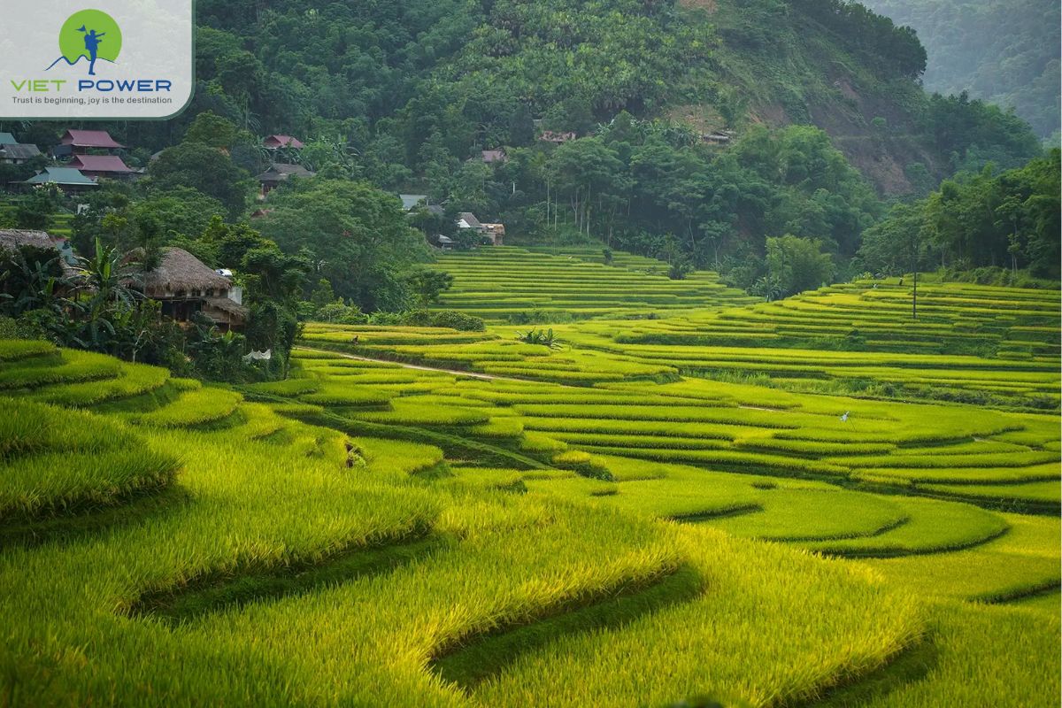 A Landscape Shaped by Human Hands