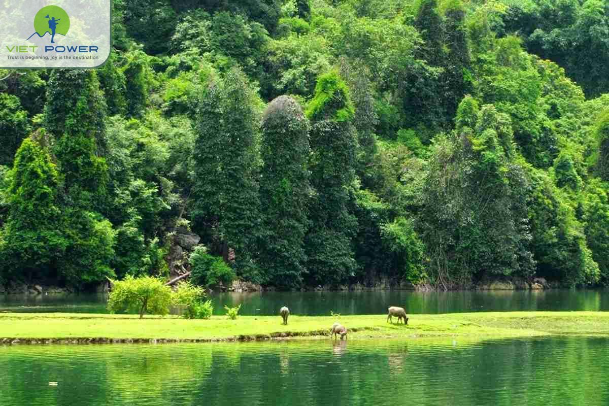 Ba Be Lake (6)