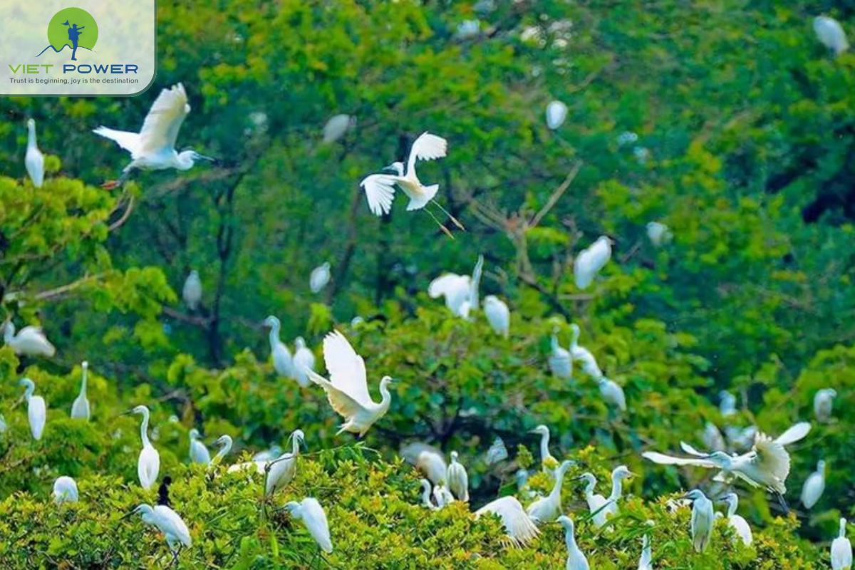 Ben Tre Vietnam(6)