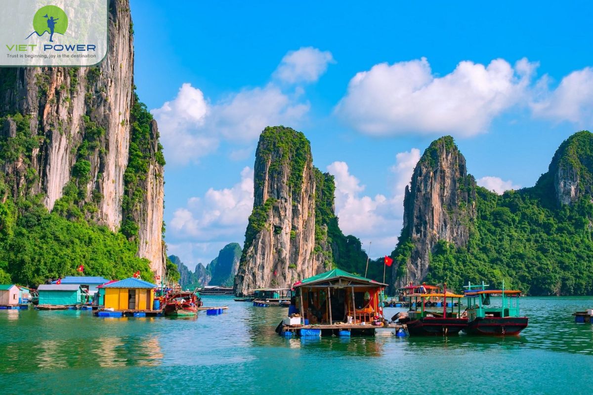 Cat Ba Island (4)