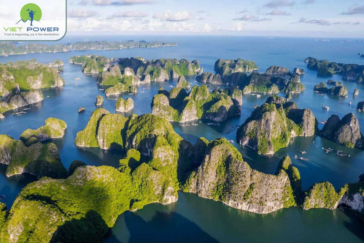Cat Ba Island (5)