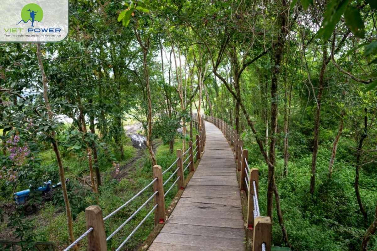 Cat-Tien-National-Park (2)