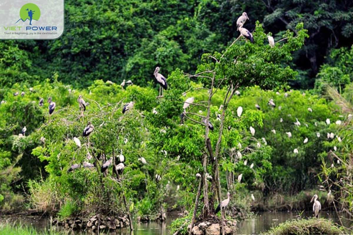 Cuc-Phuong-National-Park (2)