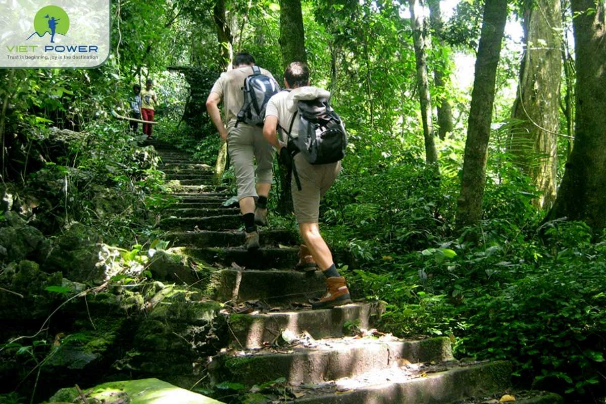 Cuc-Phuong-National-Park (4)