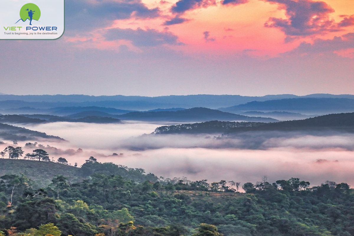 Mang Den in April (8)