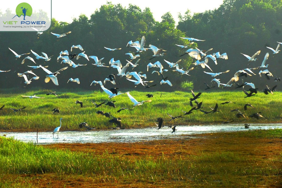 Natural flood cycle