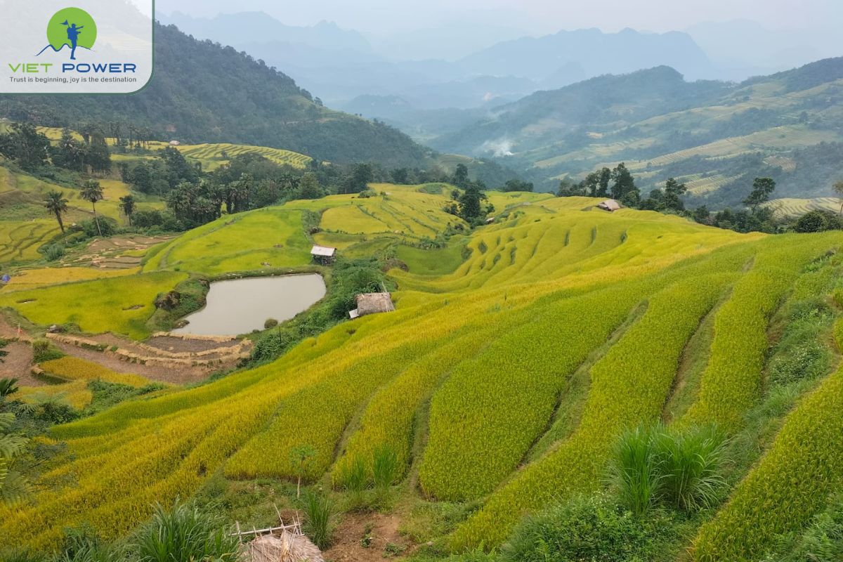 Northeast Vietnam in 5 Days (6)