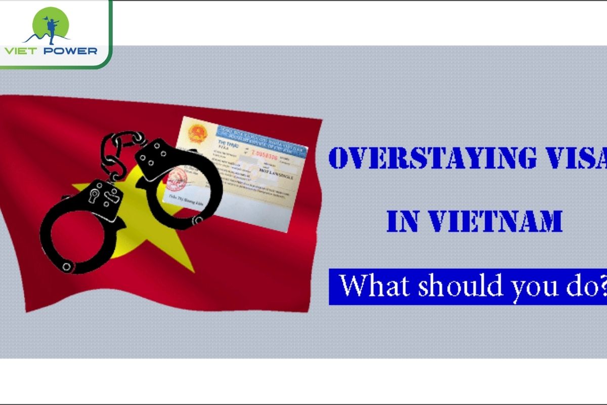 Overstayed Visa in Vietnam? What To Do: Understanding
