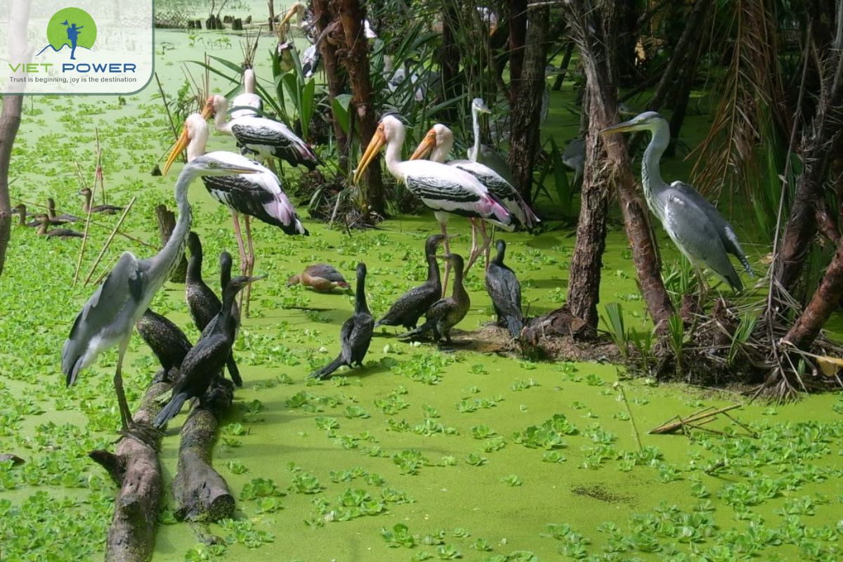 Photography, Birdwatching, and Activities
