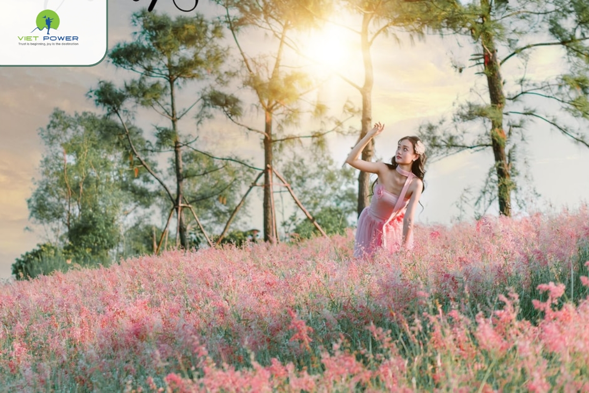 Pink Grass Hill