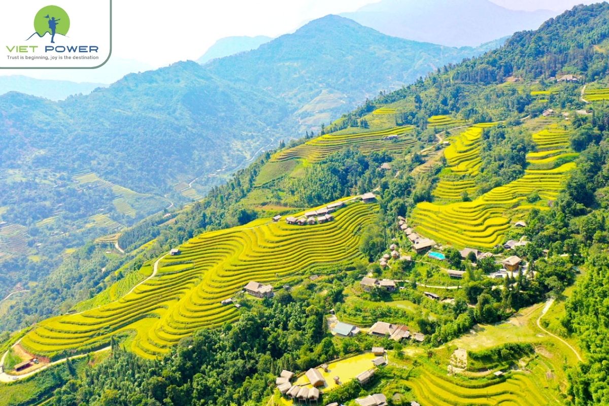 Seasonal Character in Spring