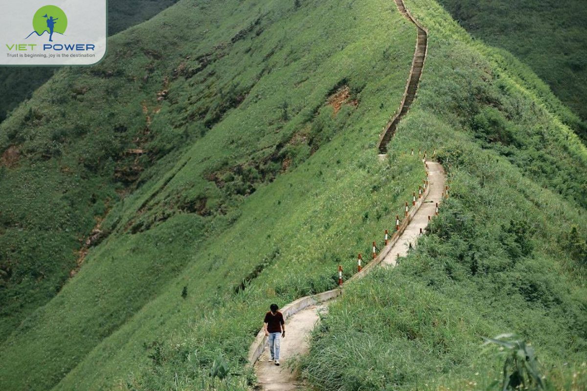 Spring Festivals and Markets