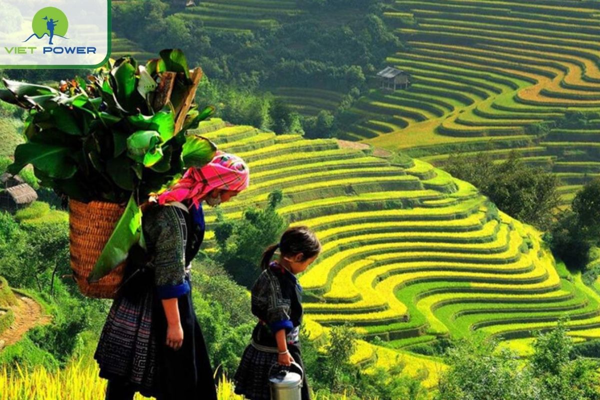 Sin Chai Village