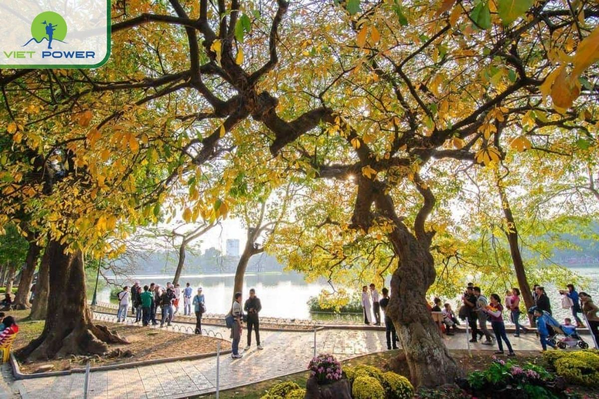 Hanoi