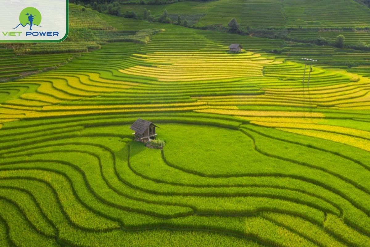 Linh Ho Village