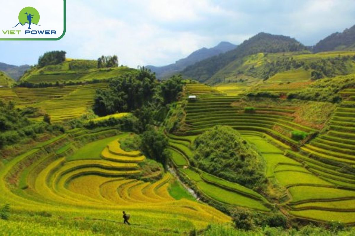 North Vietnam