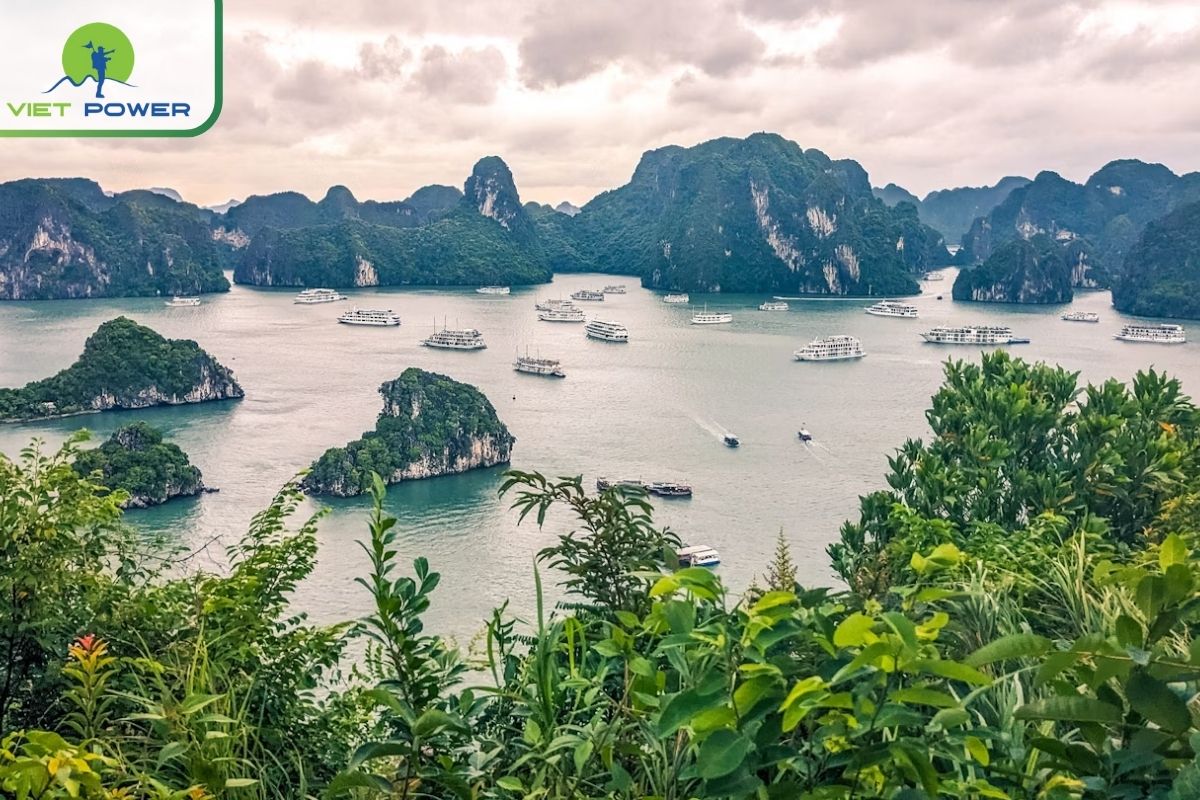 Luxury in Vietnam: Affordable Indulgence