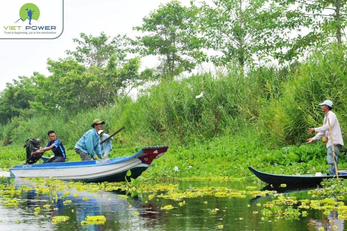 Two Seasons in U Minh Forest