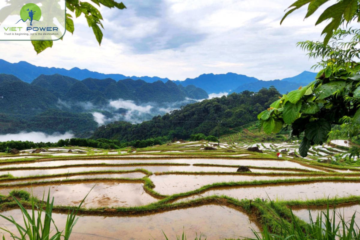 Unique Attractions in June Discover Green Season in Vietnam (2)