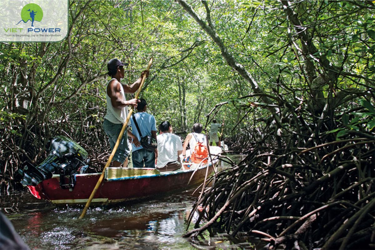 What activities should not be missed at Vam Sat Mangrove Forest