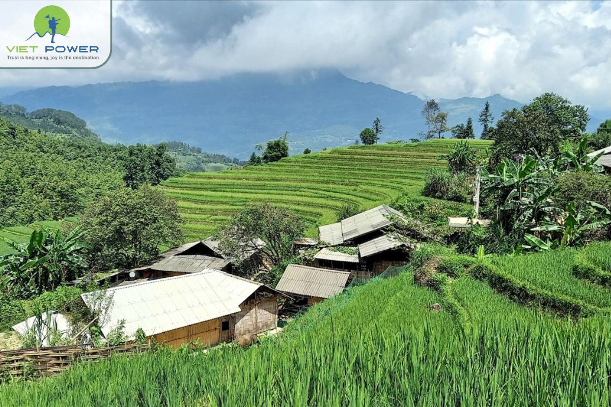 Who Is Hoang Su Phi Suitable For