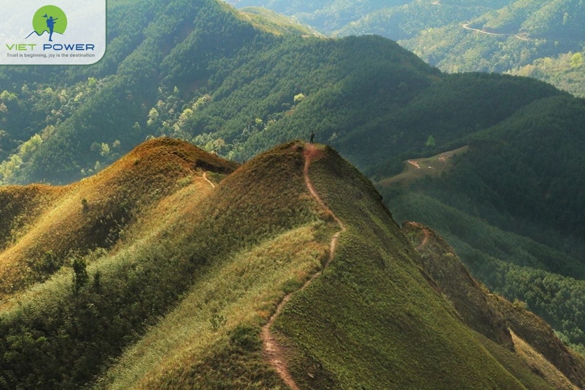 Why April Is a Special Time