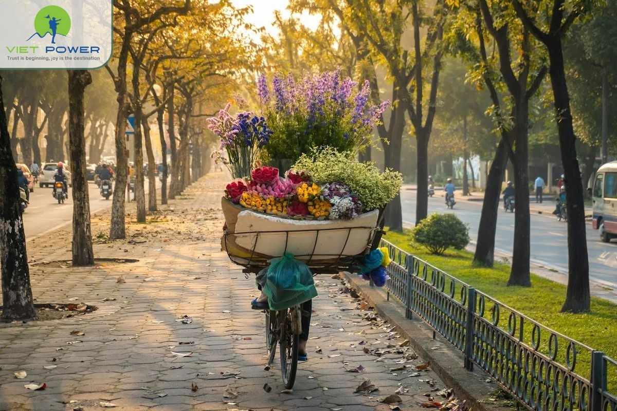 autumn-in-hanoi (2)