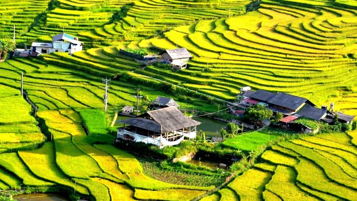 An Overview of Stunning Scenery of Viet Nam 10-Day Tour