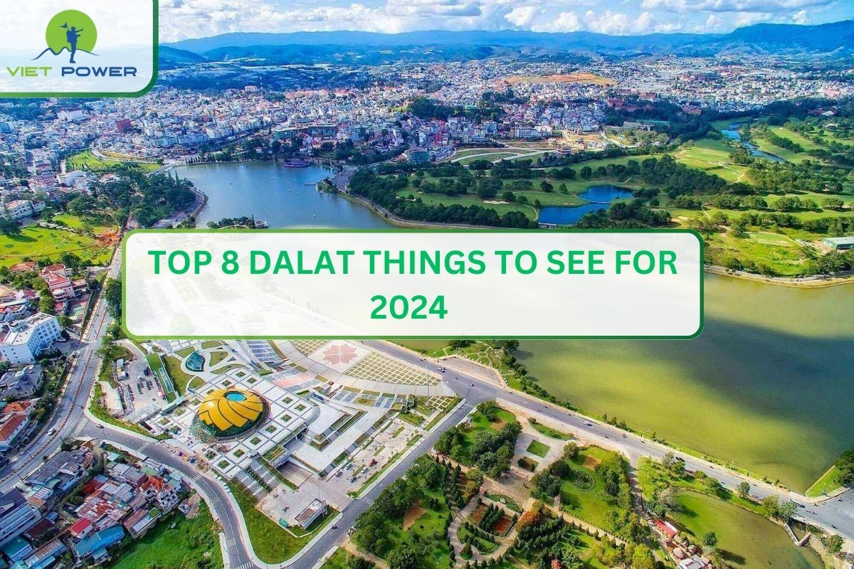 Top 8 Dalat Things To See For 2026