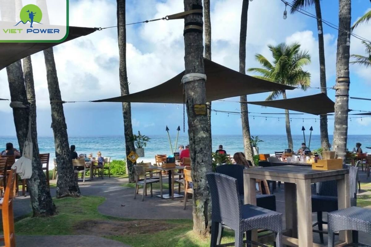 Where to Eat in Da Nang: A Guide to the Food Spots: Casual Beachfront Eats: Mai’s Beach Shack